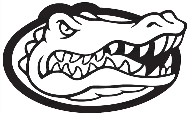 Black-and-white line art of a stylized gator head — a typical input SVG.